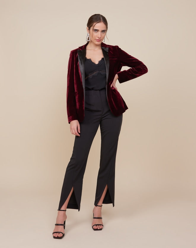 Regular Basic Blazer Valvet By Ace Maroon