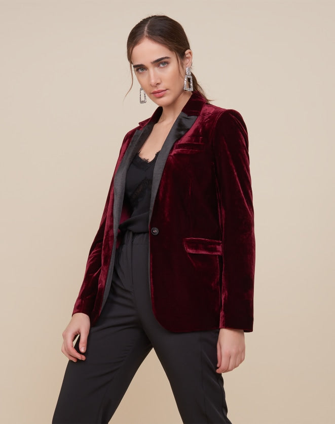 Regular Basic Blazer Valvet By Ace Maroon